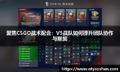聚焦CSGO战术配合：V5战队如何提升团队协作与默契