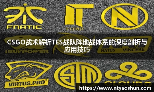 CSGO战术解析TES战队阵地战体系的深度剖析与应用技巧