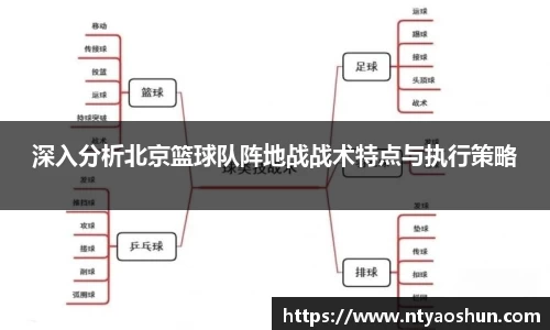 深入分析北京篮球队阵地战战术特点与执行策略