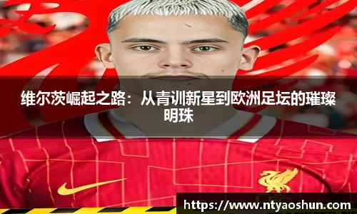 维尔茨崛起之路：从青训新星到欧洲足坛的璀璨明珠