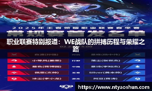 职业联赛特别报道：WE战队的拼搏历程与荣耀之路